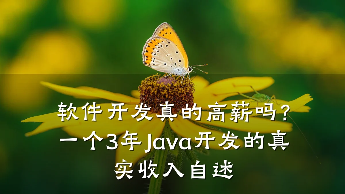 软件开发真的高薪吗？一个3年Java开发的真实收入自述