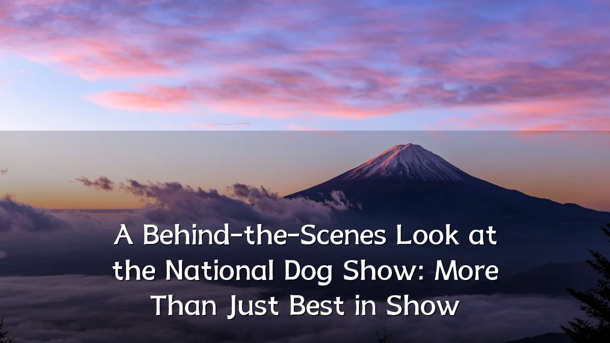 A Behind-the-Scenes Look at the National Dog Show: More Than Just Best in Show