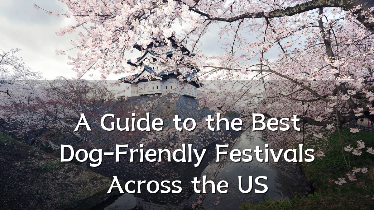 A Guide to the Best Dog-Friendly Festivals Across the US