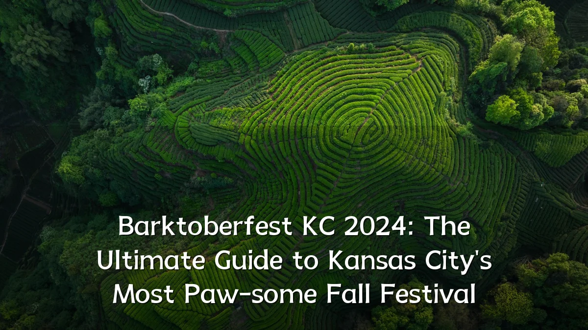 Barktoberfest KC 2024: The Ultimate Guide to Kansas City's Most Paw-some Fall Festival