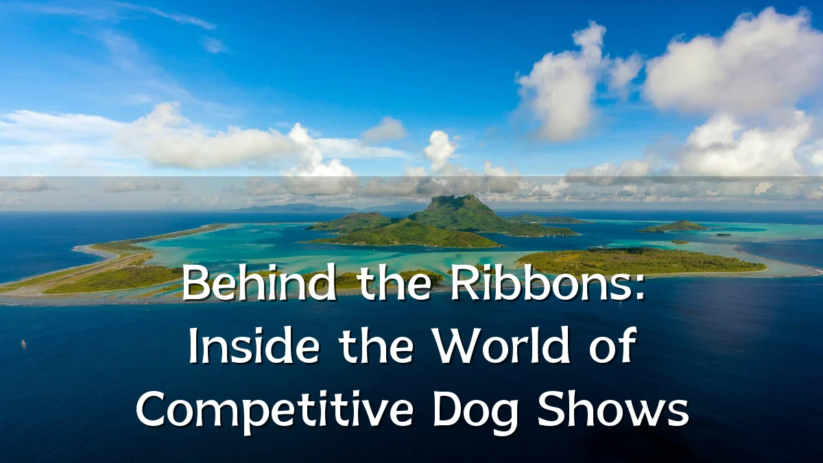 Behind the Ribbons: Inside the World of Competitive Dog Shows