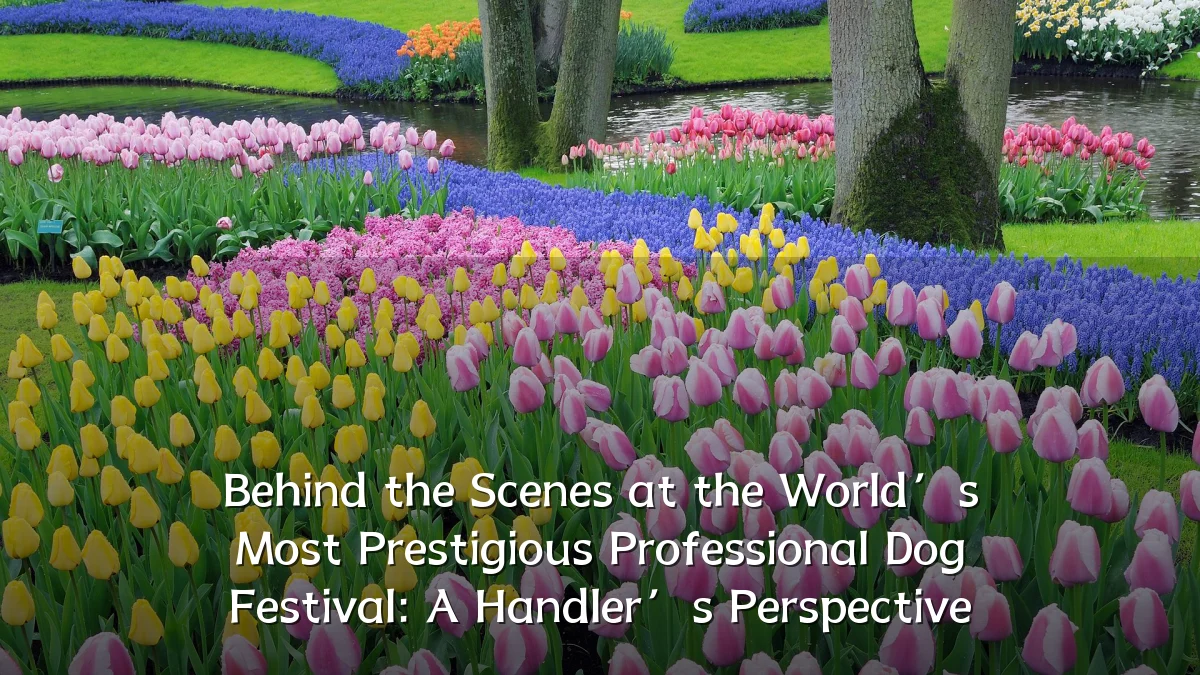 Behind the Scenes at the World’s Most Prestigious Professional Dog Festival: A Handler’s Perspective