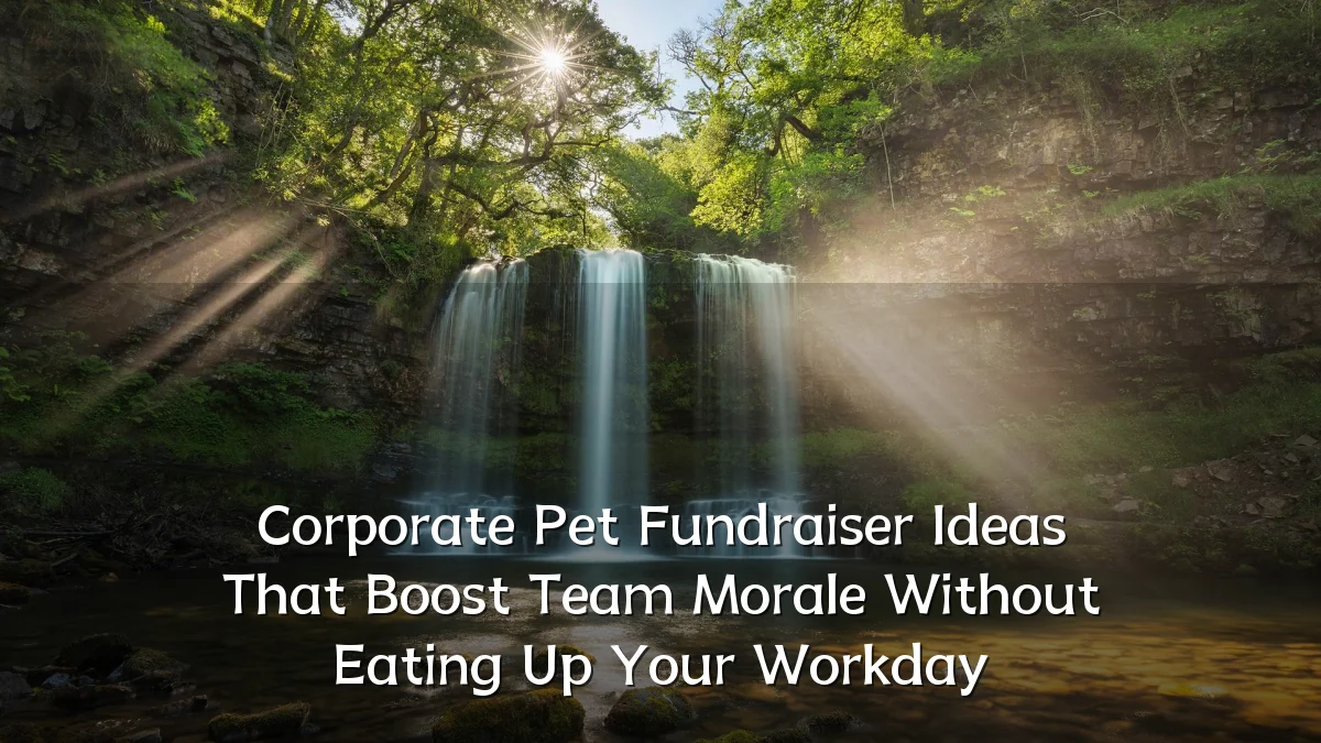 Corporate Pet Fundraiser Ideas That Boost Team Morale Without Eating Up Your Workday