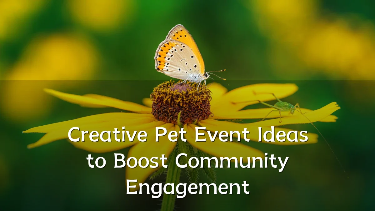 Creative Pet Event Ideas to Boost Community Engagement