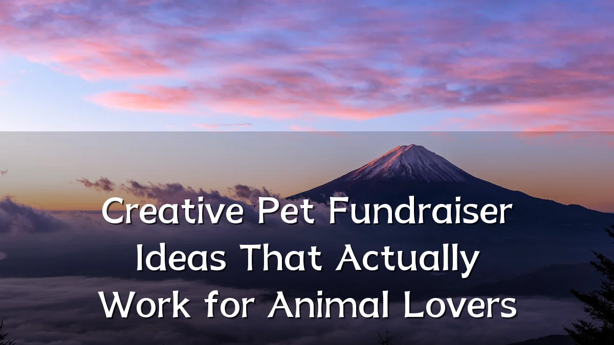 Creative Pet Fundraiser Ideas That Actually Work for Animal Lovers