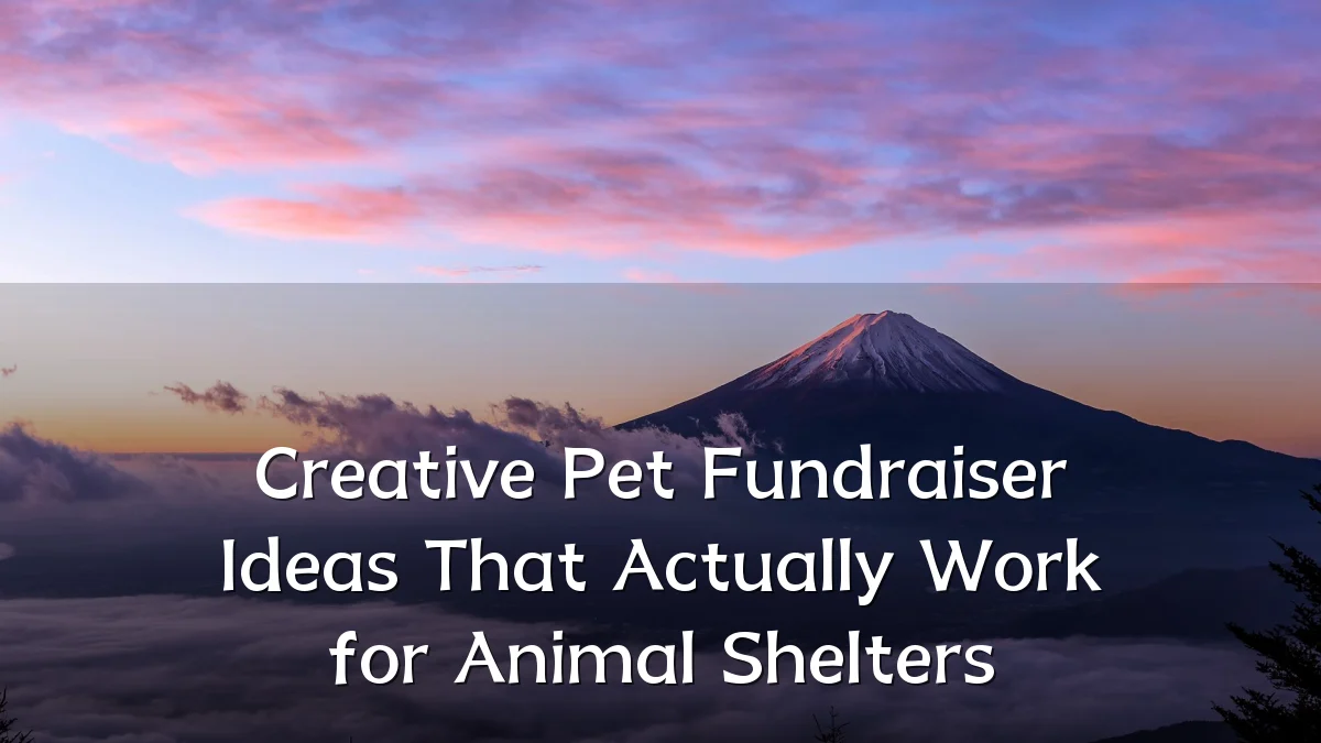 Creative Pet Fundraiser Ideas That Actually Work for Animal Shelters