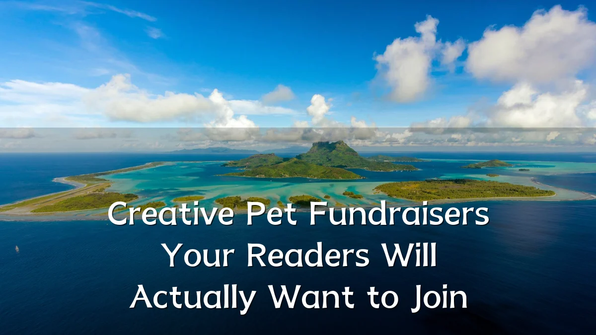 Creative Pet Fundraisers Your Readers Will Actually Want to Join