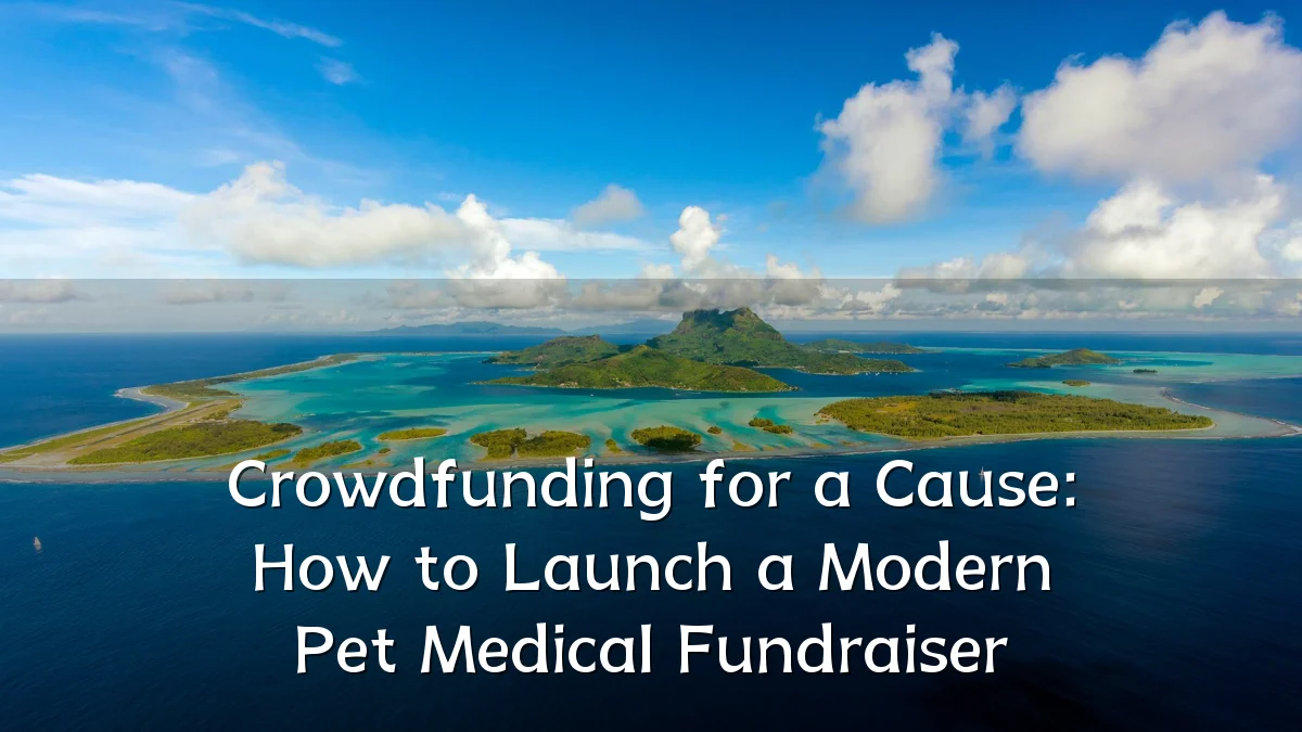 Crowdfunding for a Cause: How to Launch a Modern Pet Medical Fundraiser