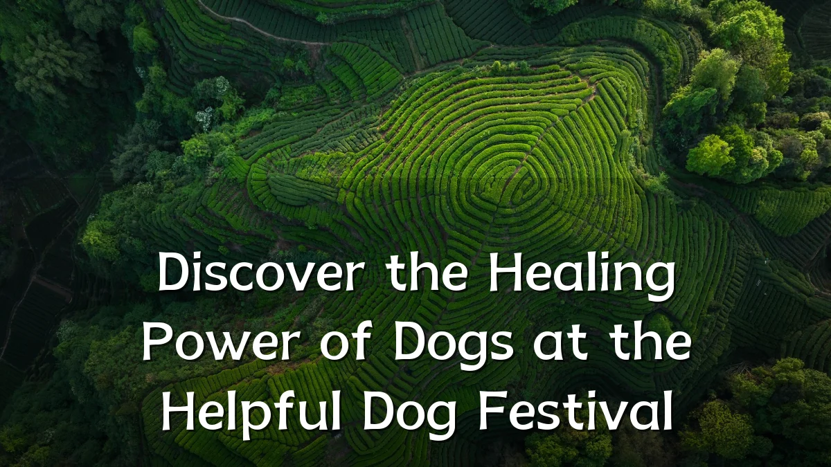 Discover the Healing Power of Dogs at the Helpful Dog Festival