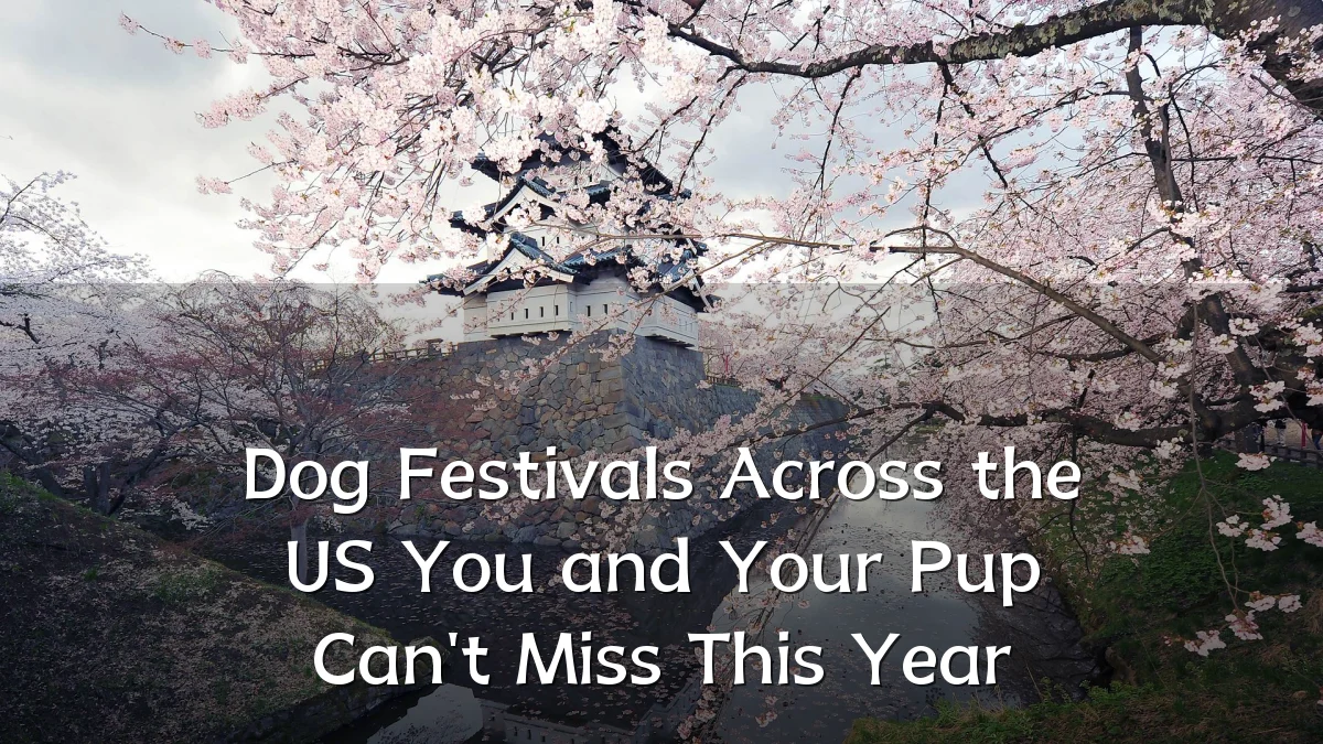 Dog Festivals Across the US You and Your Pup Can't Miss This Year