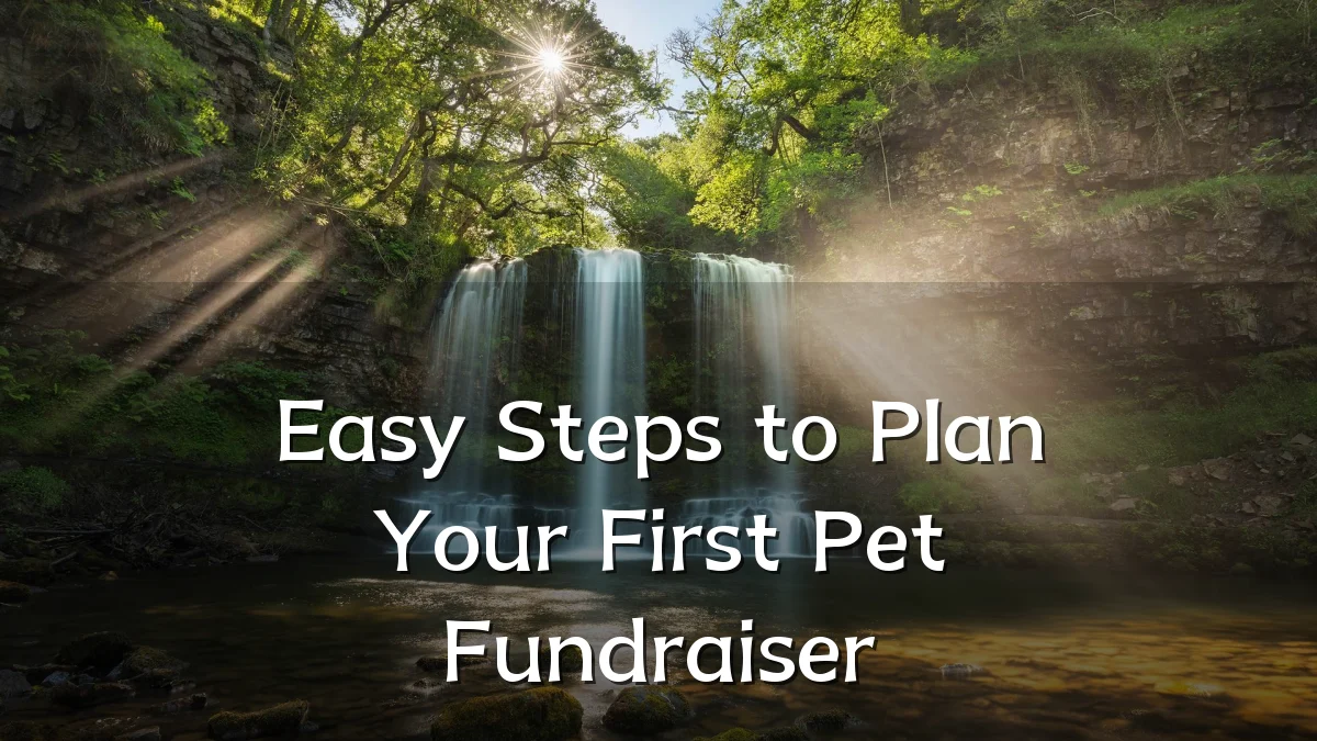 Easy Steps to Plan Your First Pet Fundraiser