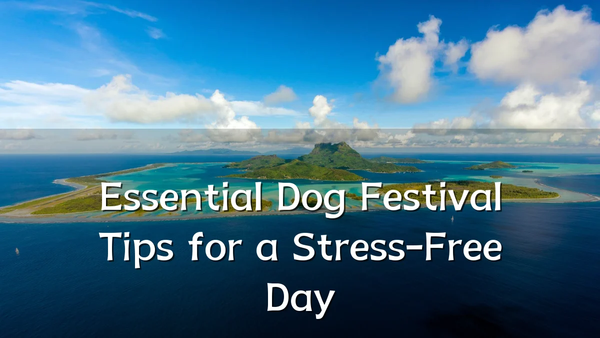Essential Dog Festival Tips for a Stress-Free Day