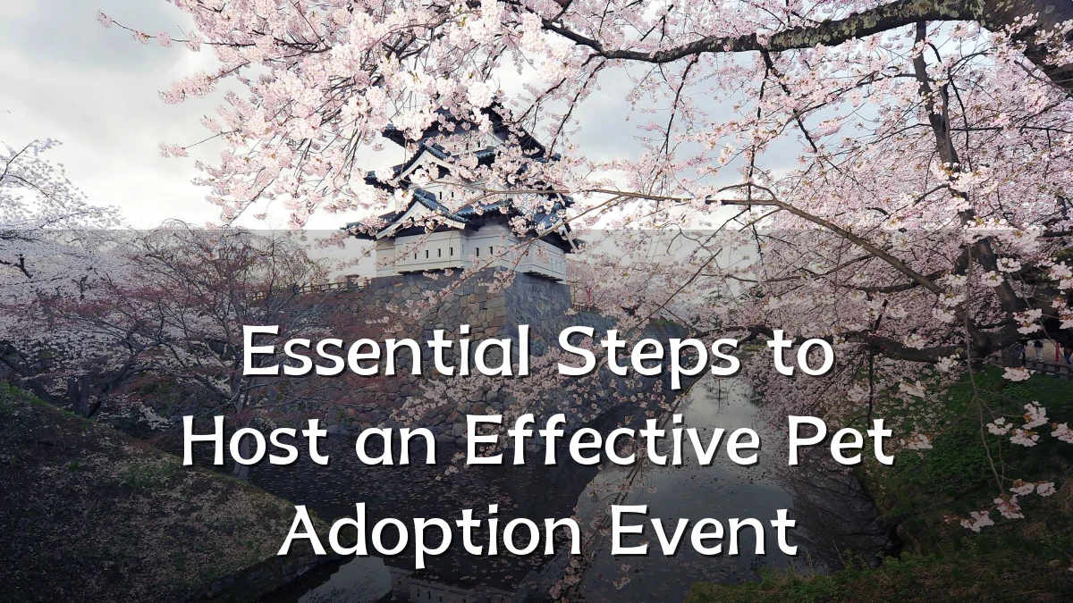 Essential Steps to Host an Effective Pet Adoption Event