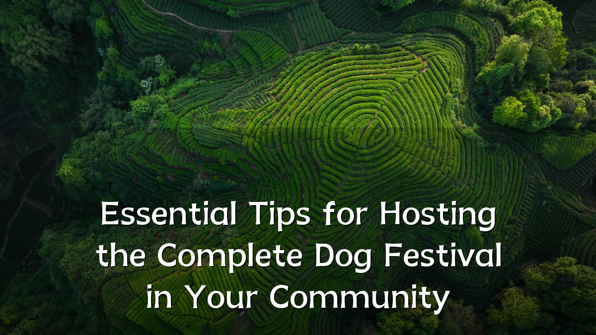 Essential Tips for Hosting the Complete Dog Festival in Your Community