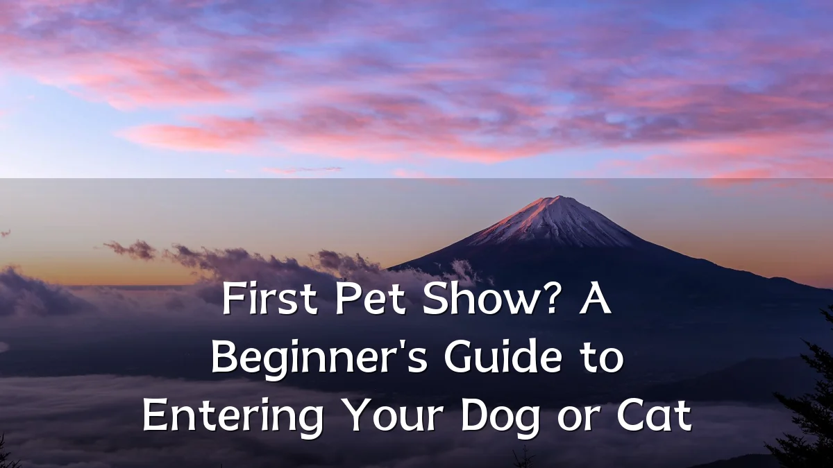 First Pet Show? A Beginner's Guide to Entering Your Dog or Cat