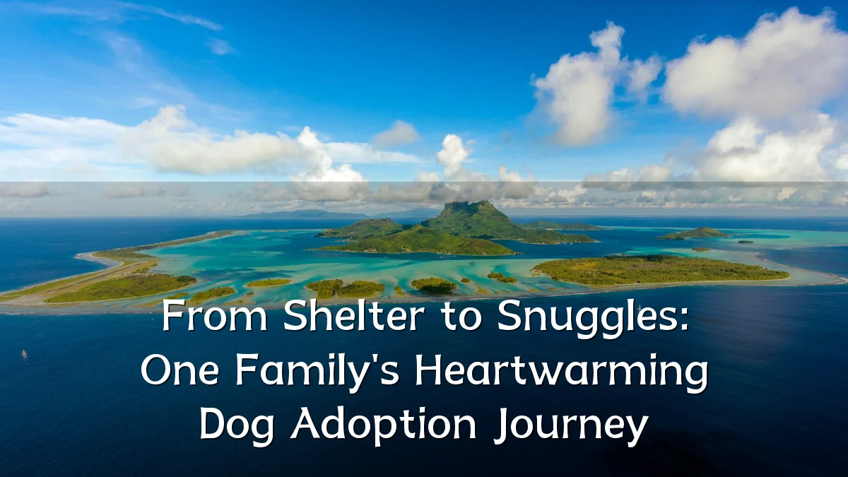 From Shelter to Snuggles: One Family's Heartwarming Dog Adoption Journey