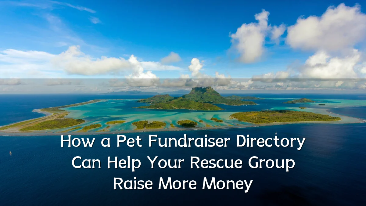 How a Pet Fundraiser Directory Can Help Your Rescue Group Raise More Money