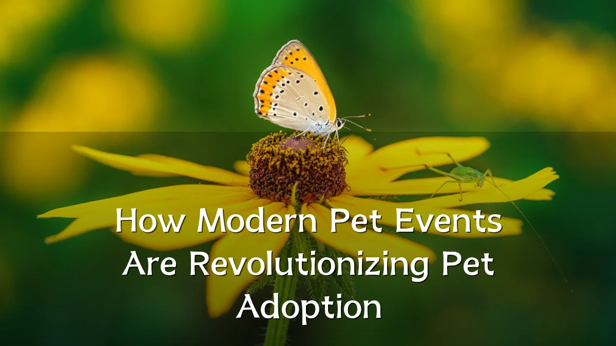 How Modern Pet Events Are Revolutionizing Pet Adoption