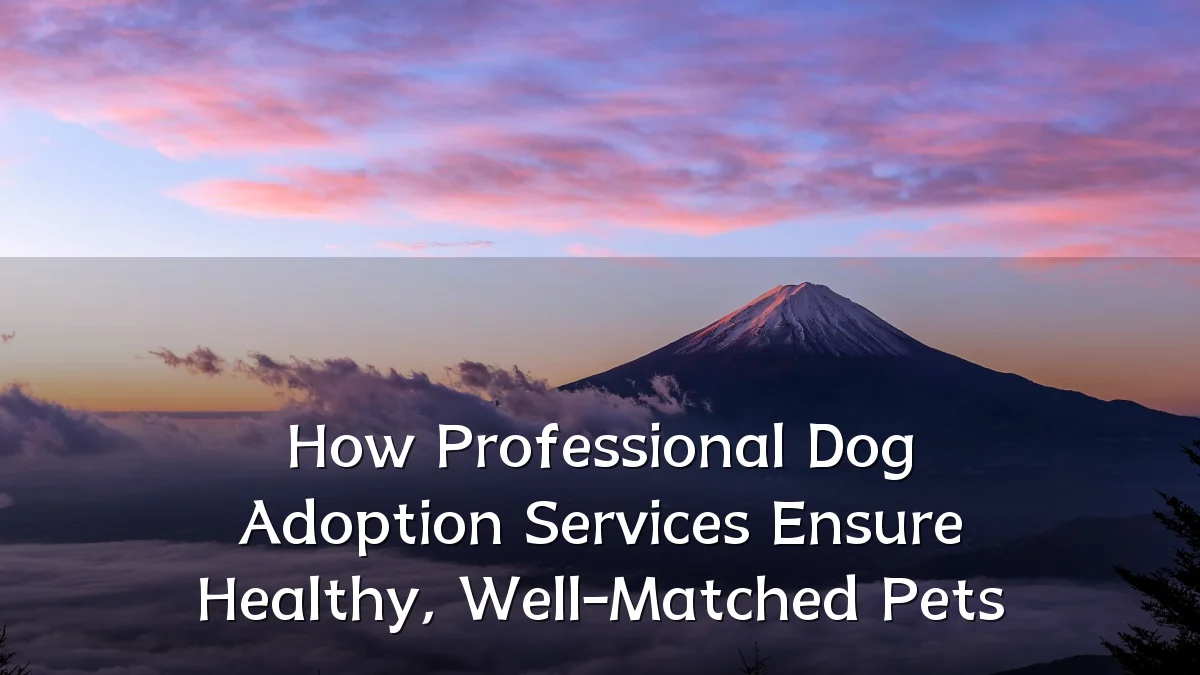 How Professional Dog Adoption Services Ensure Healthy, Well-Matched Pets