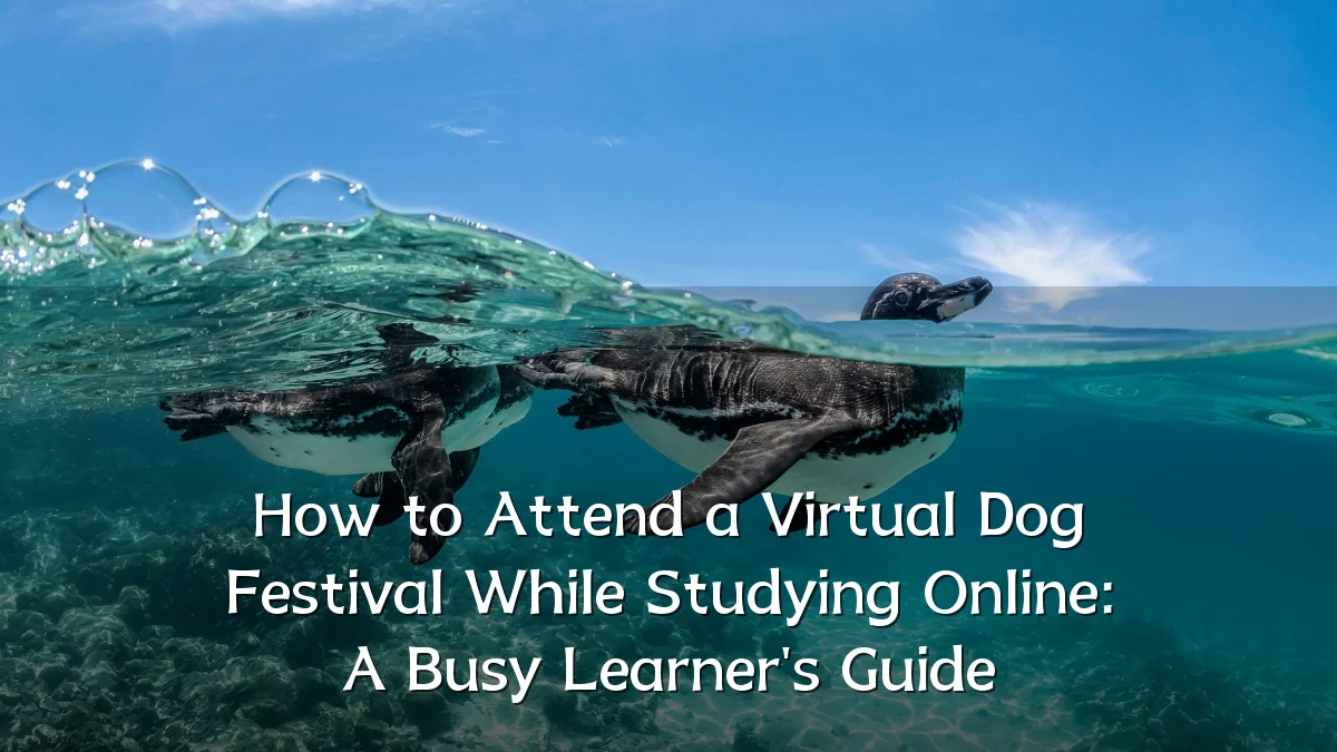How to Attend a Virtual Dog Festival While Studying Online: A Busy Learner's Guide
