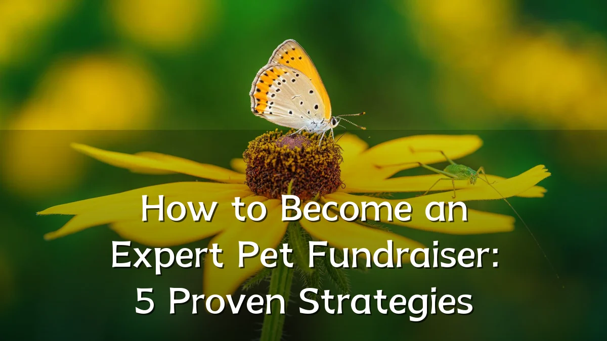 How to Become an Expert Pet Fundraiser: 5 Proven Strategies