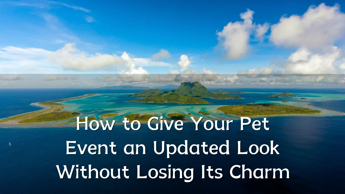 How to Give Your Pet Event an Updated Look Without Losing Its Charm