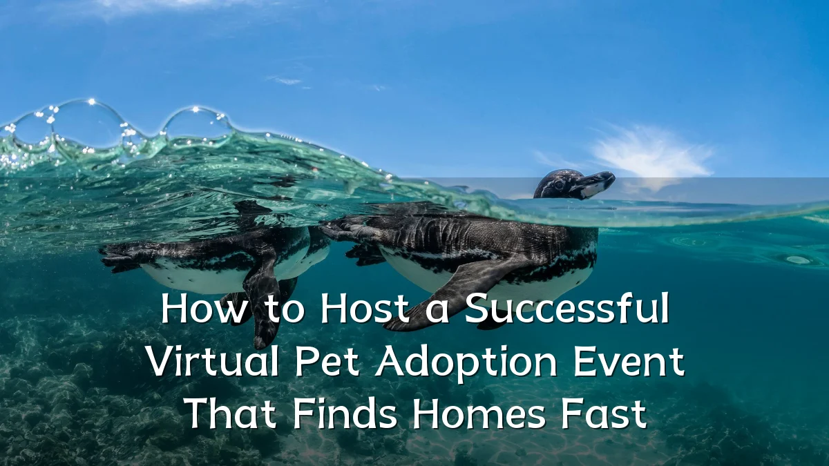 How to Host a Successful Virtual Pet Adoption Event That Finds Homes Fast