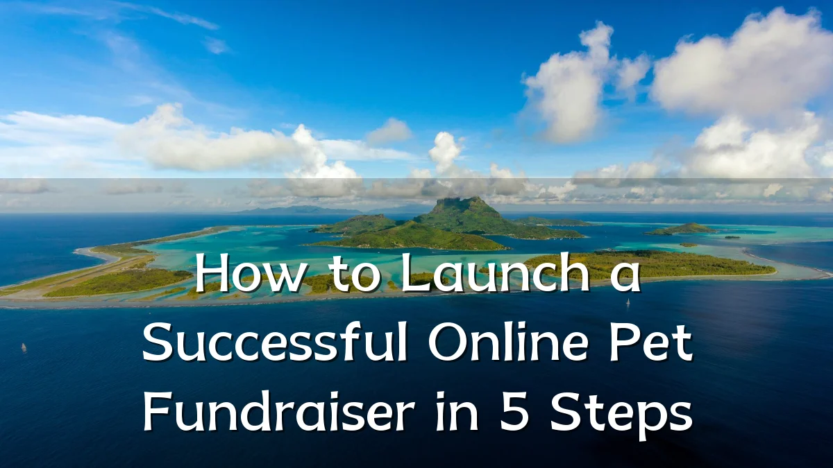 How to Launch a Successful Online Pet Fundraiser in 5 Steps