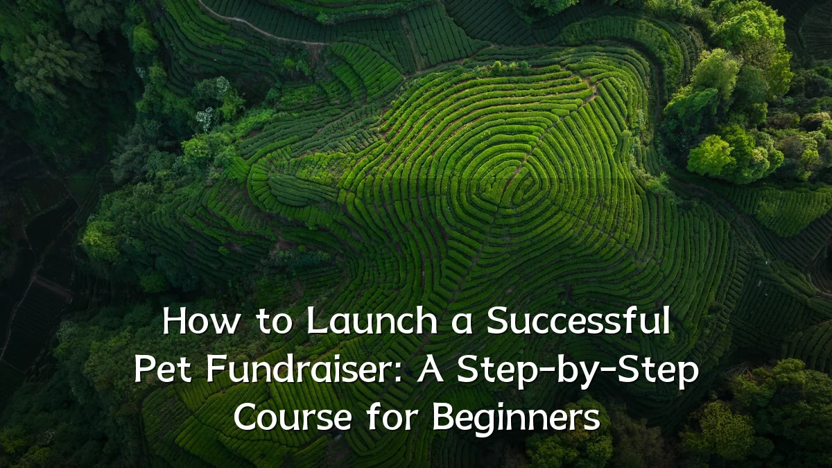How to Launch a Successful Pet Fundraiser: A Step-by-Step Course for Beginners