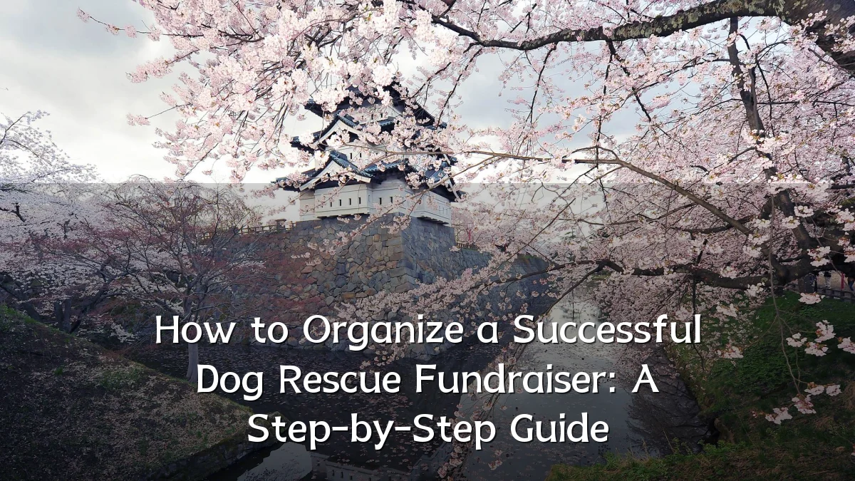 How to Organize a Successful Dog Rescue Fundraiser: A Step-by-Step Guide