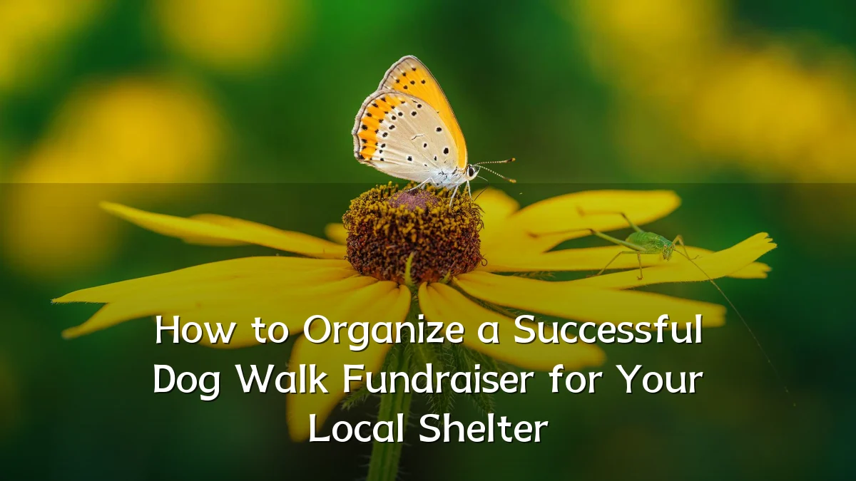 How to Organize a Successful Dog Walk Fundraiser for Your Local Shelter
