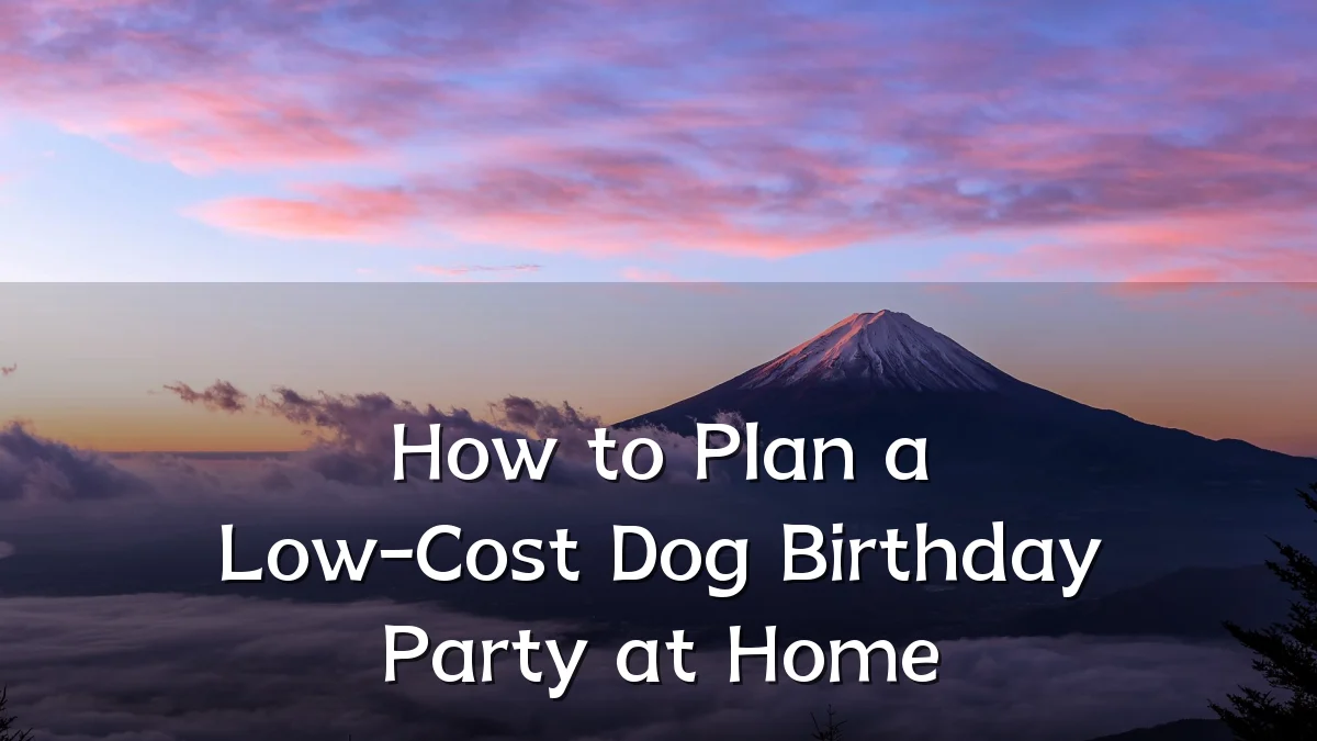 How to Plan a Low-Cost Dog Birthday Party at Home