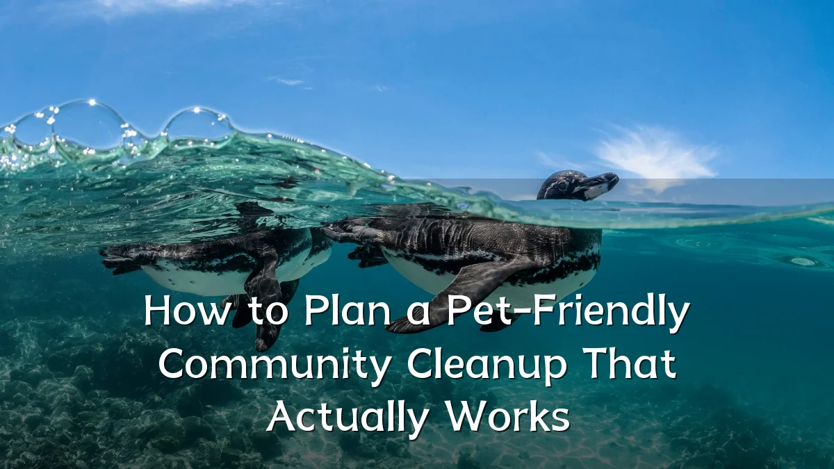 How to Plan a Pet-Friendly Community Cleanup That Actually Works