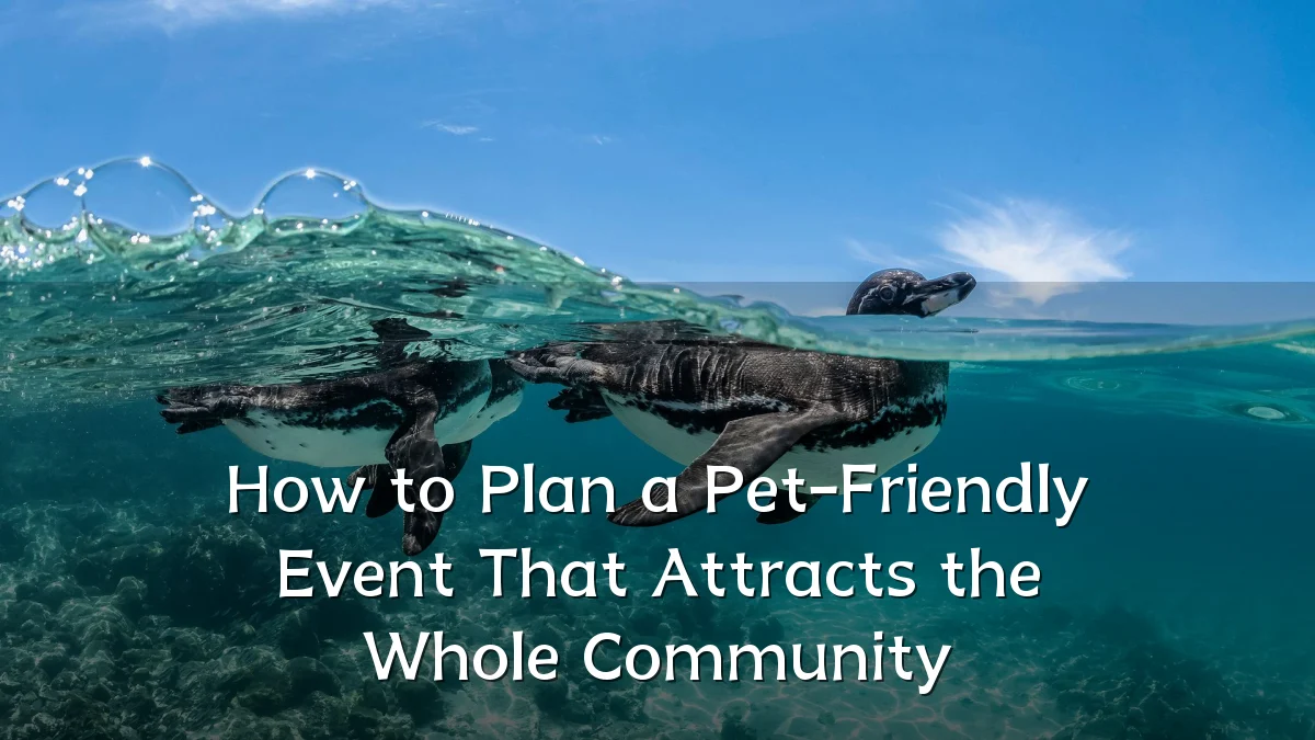 How to Plan a Pet-Friendly Event That Attracts the Whole Community