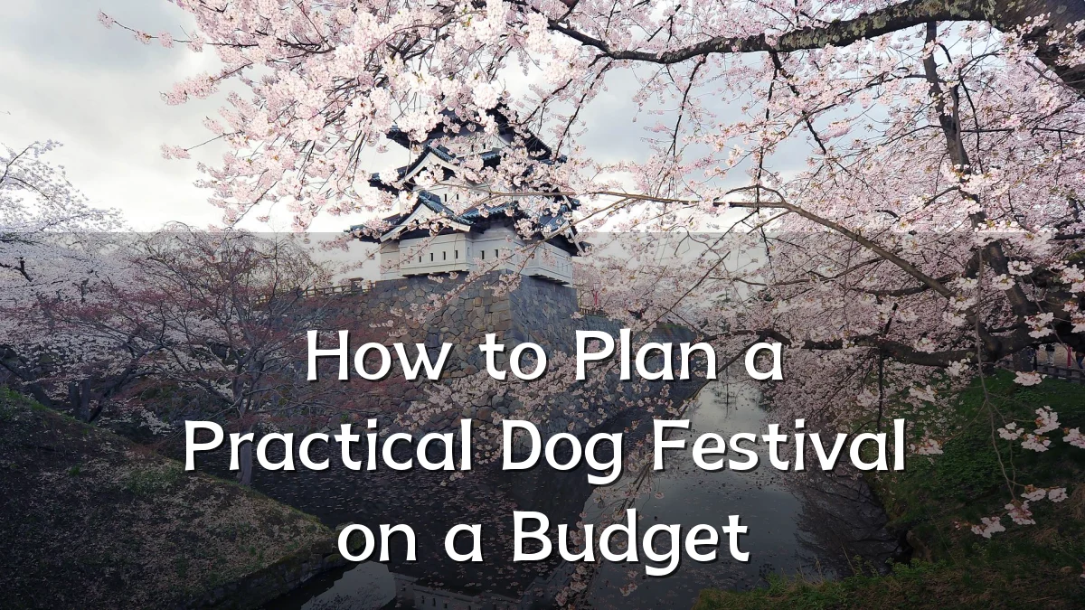 How to Plan a Practical Dog Festival on a Budget