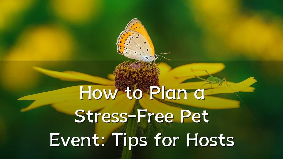 How to Plan a Stress-Free Pet Event: Tips for Hosts