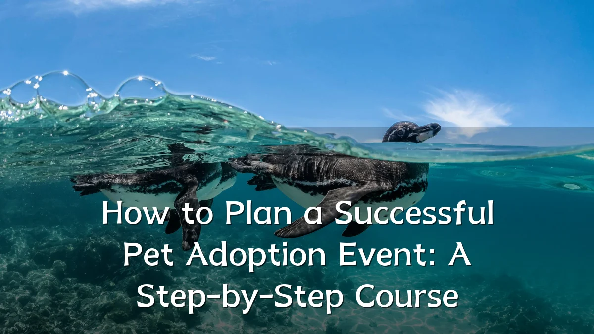 How to Plan a Successful Pet Adoption Event: A Step-by-Step Course