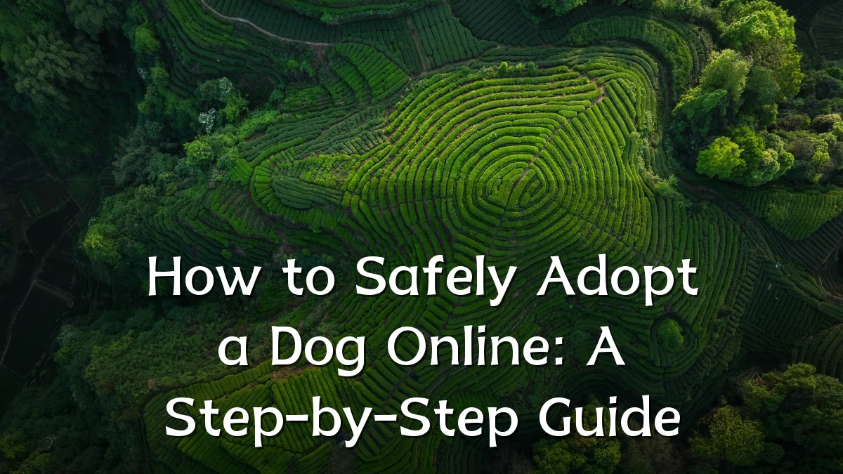 How to Safely Adopt a Dog Online: A Step-by-Step Guide