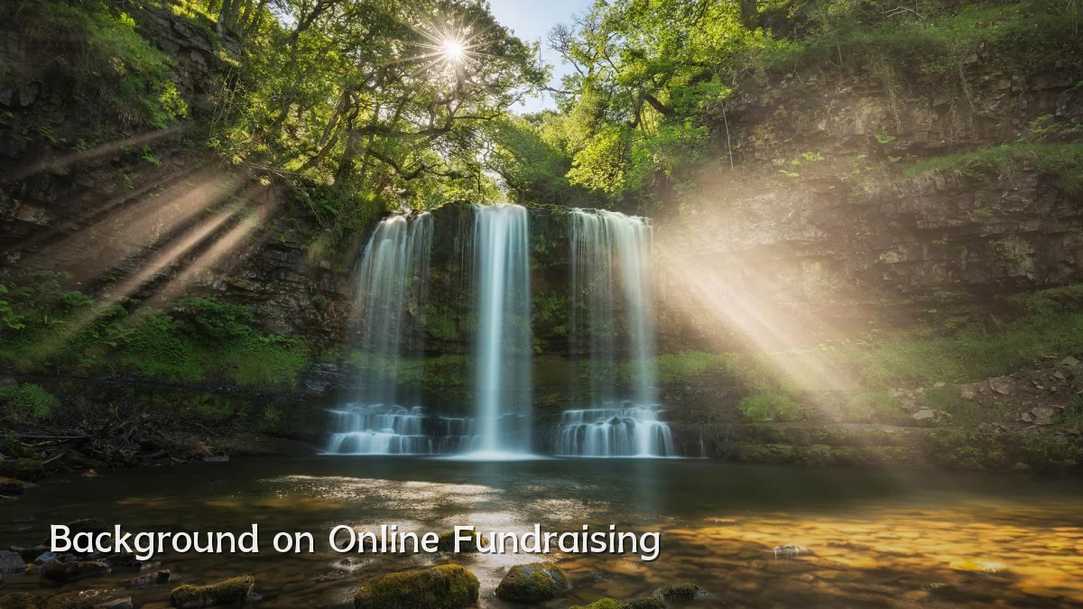 Background on Online Fundraising
