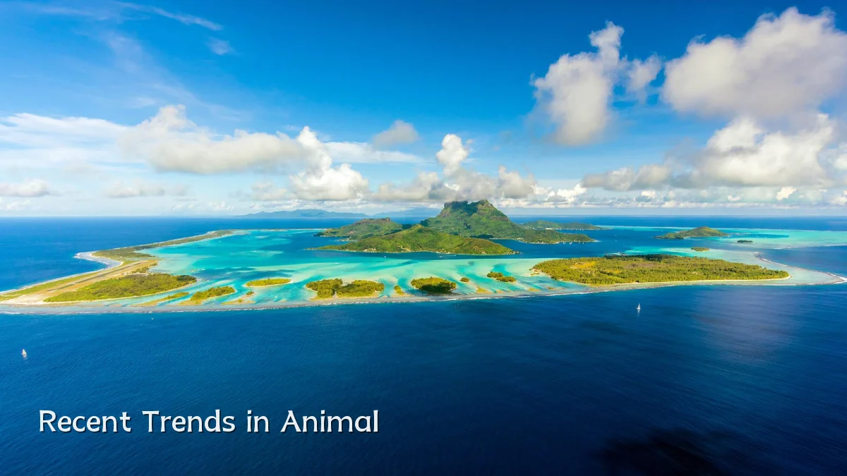 Recent Trends in Animal