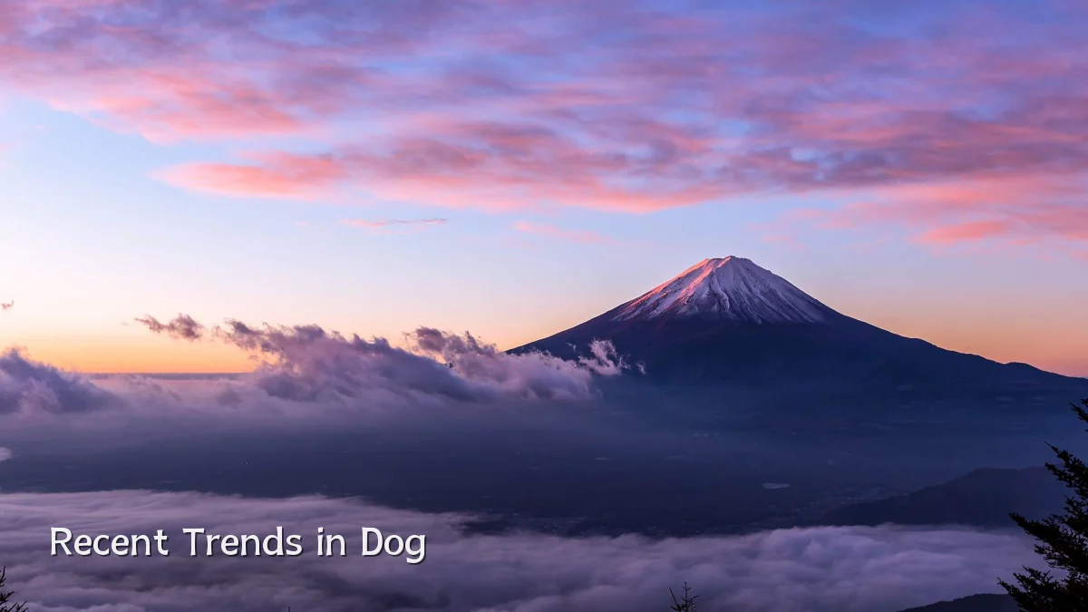 Recent Trends in Dog