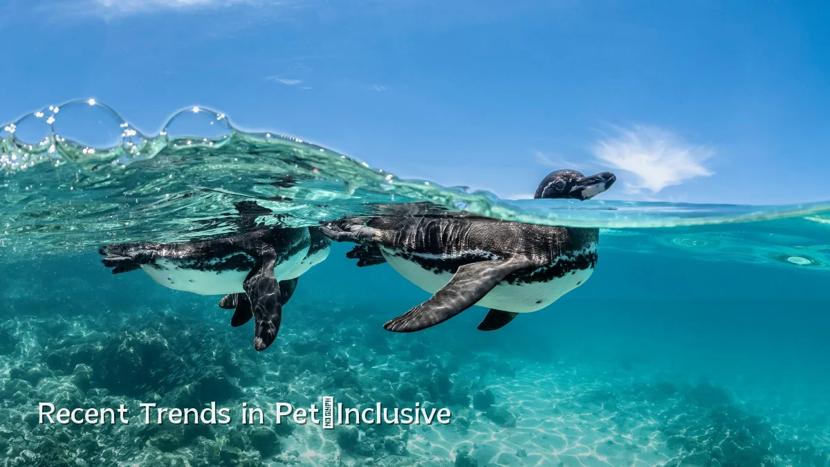 Recent Trends in Pet‑Inclusive