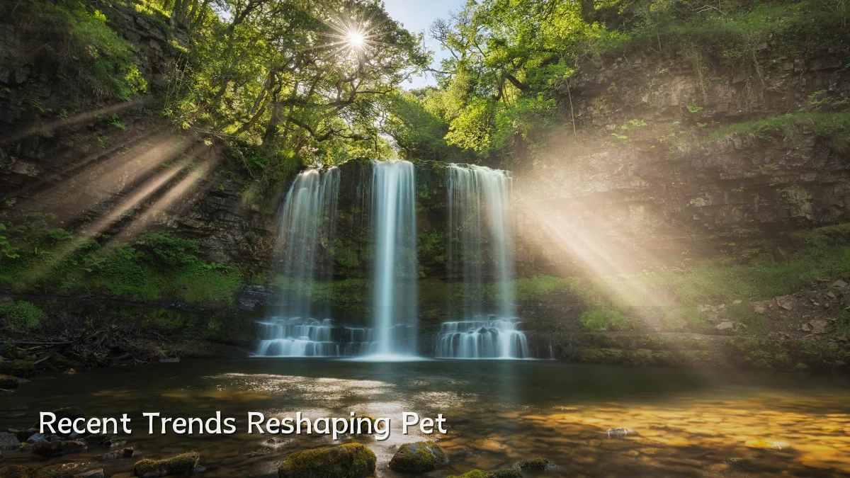 Recent Trends Reshaping Pet