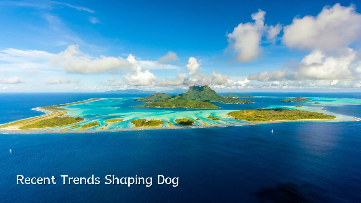 Recent Trends Shaping Dog