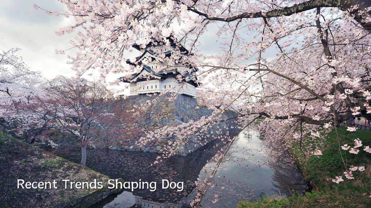 Recent Trends Shaping Dog