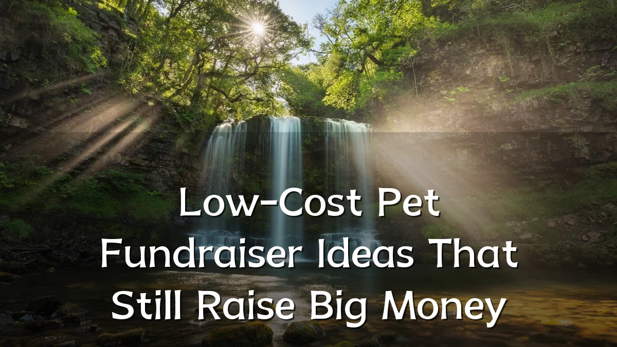 Low-Cost Pet Fundraiser Ideas That Still Raise Big Money