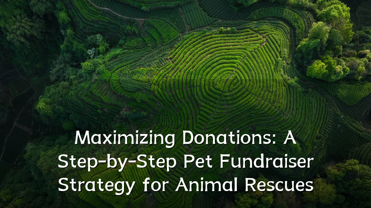 Maximizing Donations: A Step-by-Step Pet Fundraiser Strategy for Animal Rescues