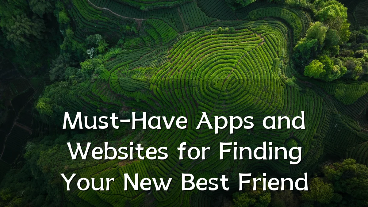 Must-Have Apps and Websites for Finding Your New Best Friend