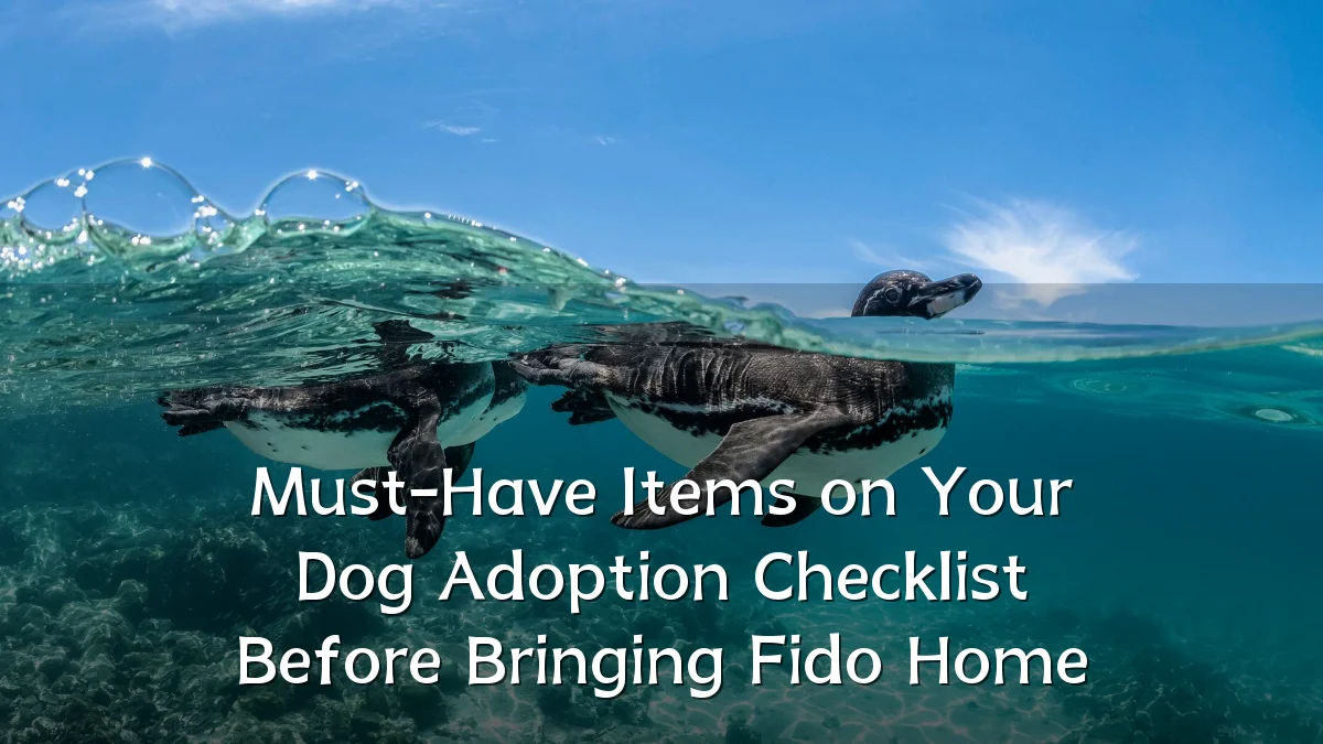 Must-Have Items on Your Dog Adoption Checklist Before Bringing Fido Home