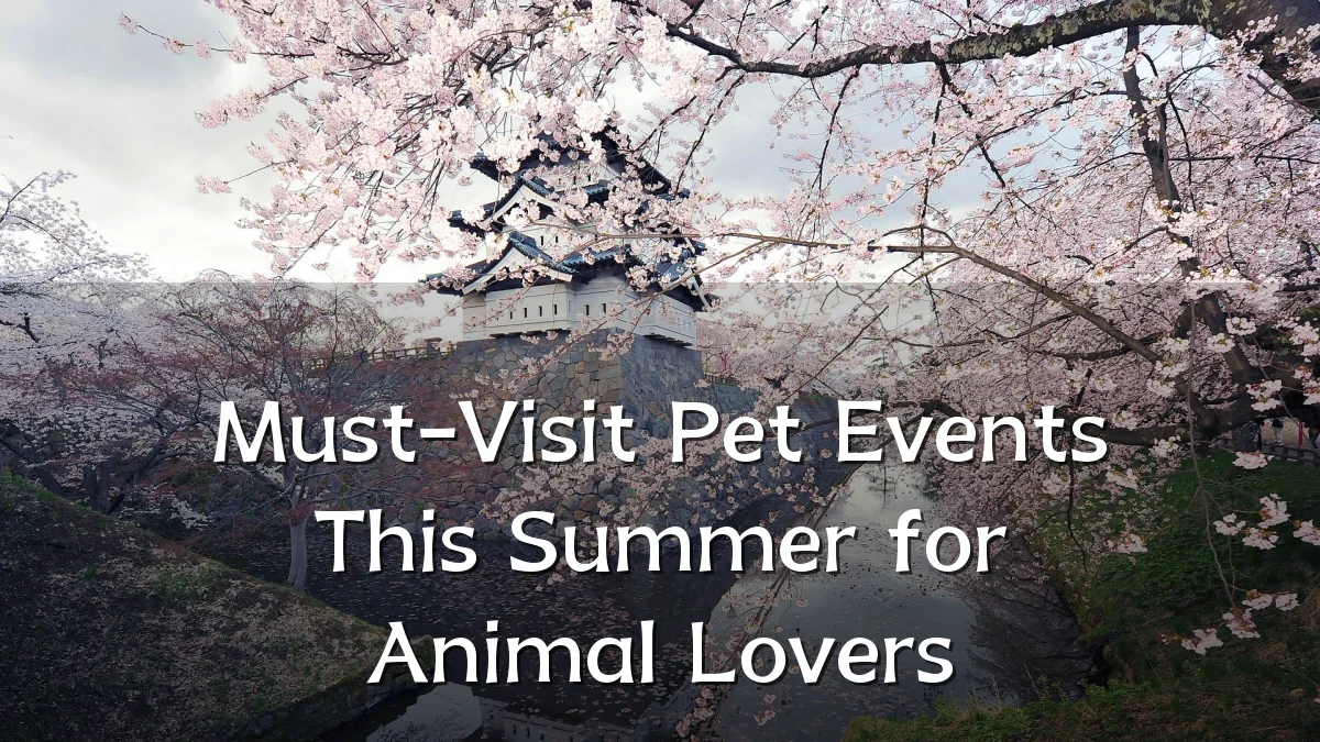 Must-Visit Pet Events This Summer for Animal Lovers